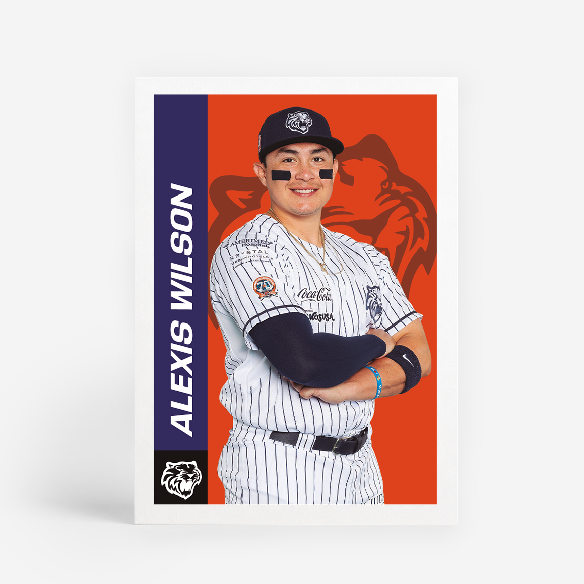 Caja de Estampas Panini 2026 LMB BANORTE - 50 sobres