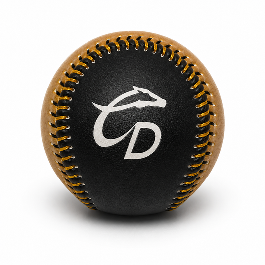 Pelota Conmemorativa Playoffs 2026 / Caliente de Durango